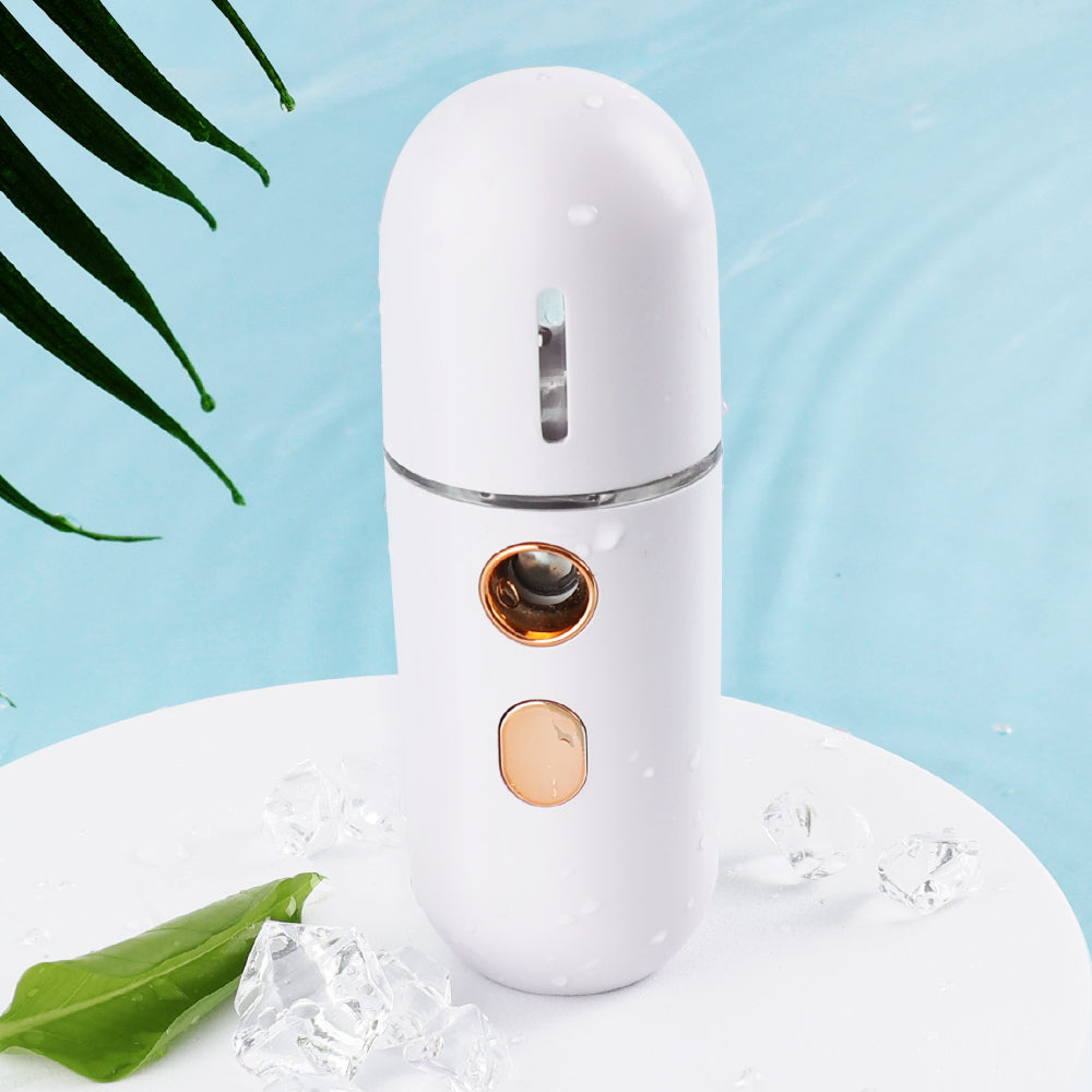 Mini Face Steamer
