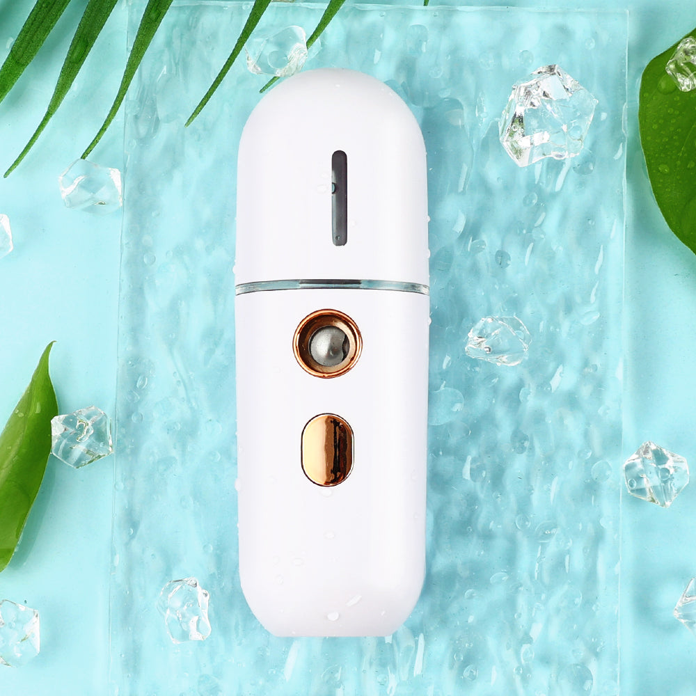 Mini Face Steamer