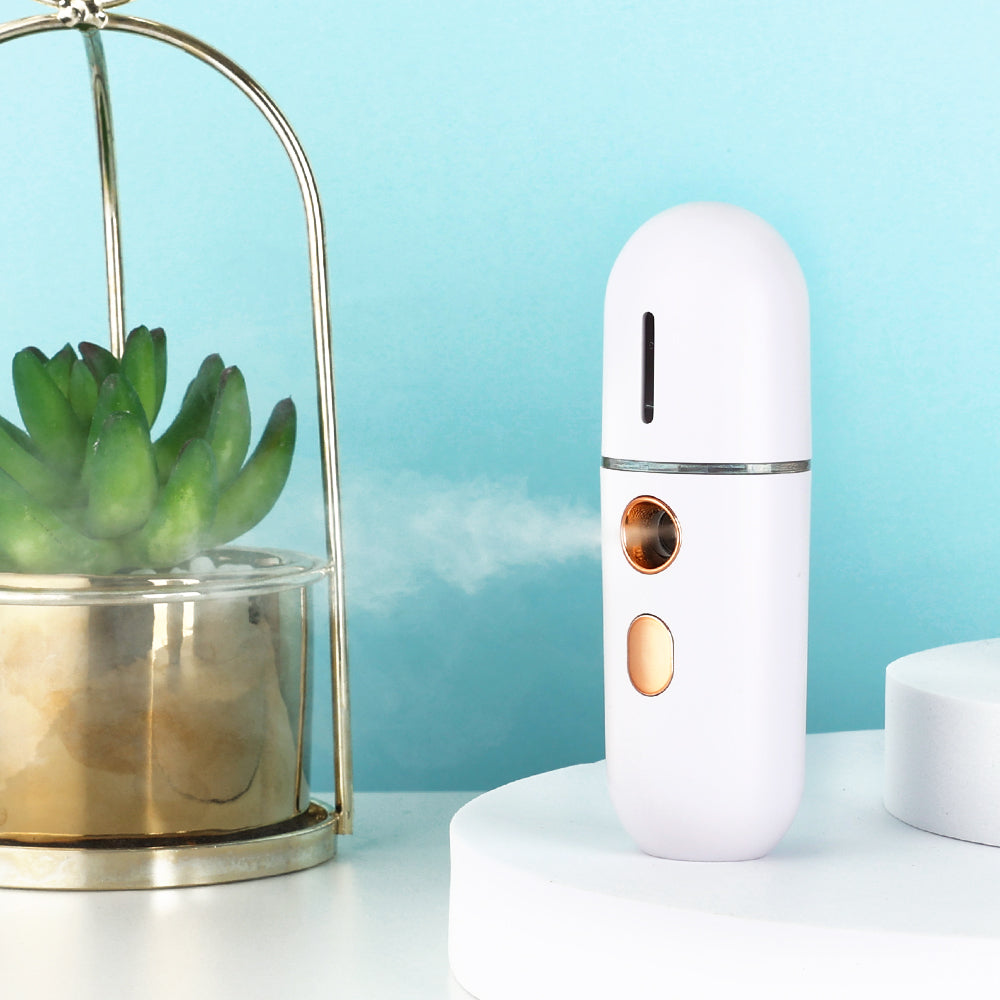 Mini Face Steamer