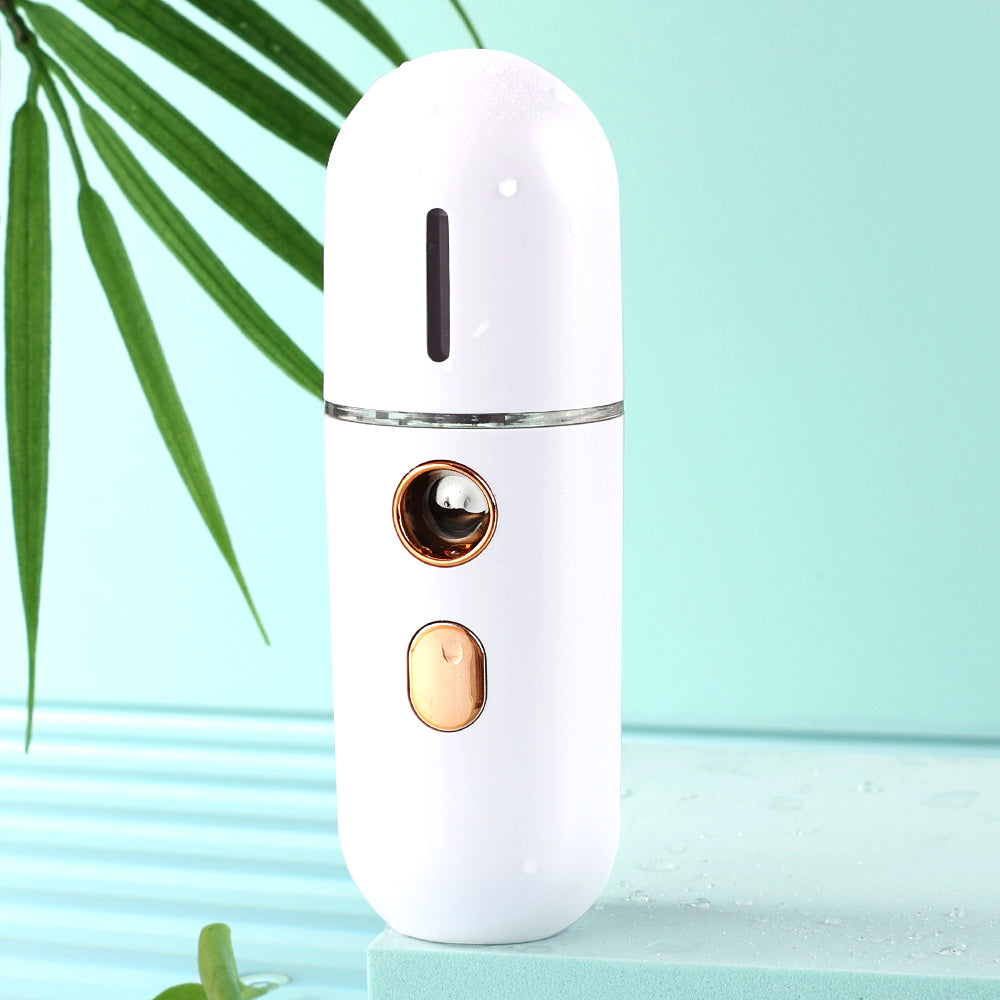 Mini Face Steamer