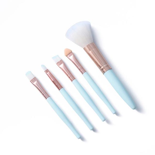 Beginners Makeup Brushes Set