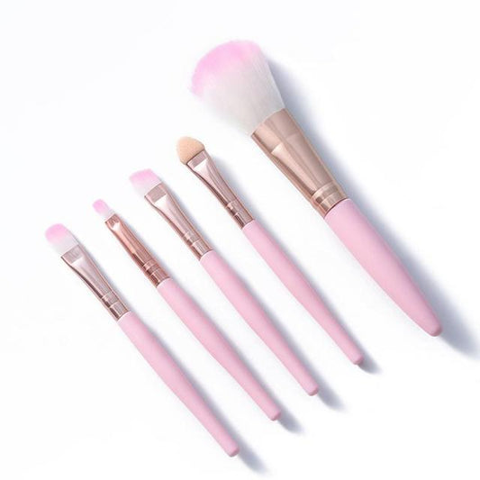 Beginners Makeup Brushes Set