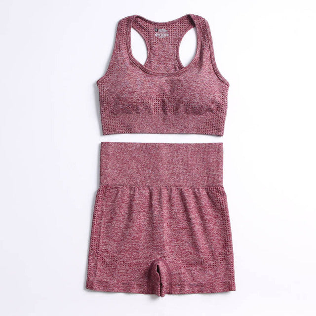 Women Workout Clothing Set